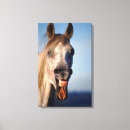 Recherche de gai impressions sur toile Animal