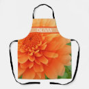 Recherche de dahlia tabliers Orange