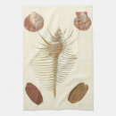 Recherche de coquillage cuisine linges Coquille