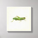 Recherche de studio impressions sur toile Nature