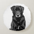 Recherche de labrador noir coussins Animaux