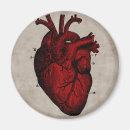 Recherche de coeur humain magnets Amour