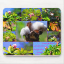 Recherche de brin tapis souris Pour tous