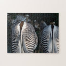 Recherche de zebra puzzles Photographie