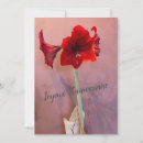 Recherche de amaryllis vœux cartes Rouge