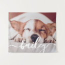 Recherche de animaux familiers posters Pour animaux