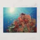 Recherche de dur cartes postales Nature