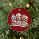 Recherche de yorkshire terrier ornements Festif