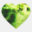 Recherche de pissenlit autocollants Herbe