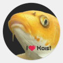 Recherche de koi fish autocollants Poisson rouge