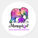 Recherche de chromosome autocollants Syndrome de down