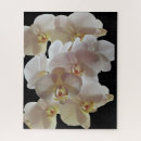 Recherche de orchid puzzles Fleur