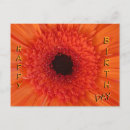 Recherche de gerberas cartes postales Toute personne