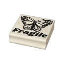 Recherche de papillons fragiles Nature