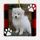 Recherche de buffalo plaid ornements Chien