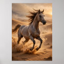 Recherche de cheval arabe posters Équitation