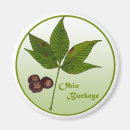 Recherche de sauterelle magnets Ohio