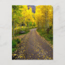 Recherche de la masse cartes postales Colorado