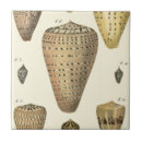 Recherche de peinture marine carreaux Diderot de denis
