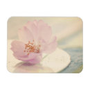 Recherche de fleurs magnets Sakura