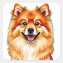 Recherche de chien pomeranian autocollants Chiens