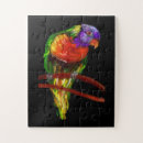 Recherche de peintures colorées puzzles Oiseaux