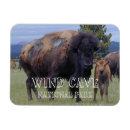 Recherche de veau magnets Faune