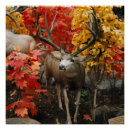 Recherche de whitetail posters Bannir