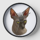 Recherche de chat sphynx horloges Sans cheveux