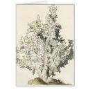 Recherche de arrière plan de corail cartes postales Récif