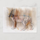Recherche de caracal cartes postales Sauvage
