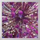 Recherche de allium posters Photographie