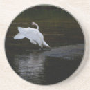 Recherche de trompette dessous de verres Oiseau