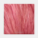 Recherche de extrem magnete Nature