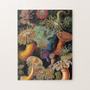 Recherche de méduse puzzles Mer