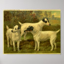Recherche de vintage fox art Animal