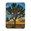 Recherche de nuages soleil magnets Californie