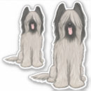 Recherche de décomposer ipod touch coques Dessin