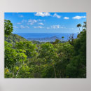 Recherche de volcans posters Jungle