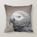 Recherche de congo coussins Perroquet