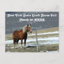 Recherche de charrue cartes postales Cheval