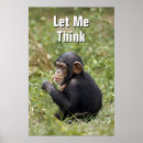 Recherche de chimpanzee posters Faune animale