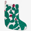 Recherche de plantes chaussette de noël Cactus