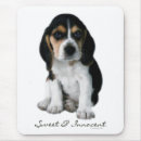 Recherche de chiot beagle tapis souris Photographie