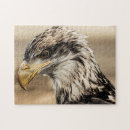 Recherche de aigle noir puzzles Oiseau