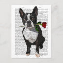 Recherche de terrier de boston cartes postales Animaux de compagnie mignons