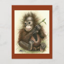 Recherche de orang outan cartes postales Grand singe