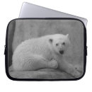 Recherche de ours gris coques Bébé