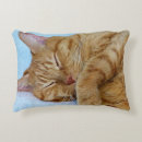 Recherche de chat de sommeil coussins Amoureux des chats