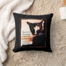 Recherche de messager de chat Photo du chat